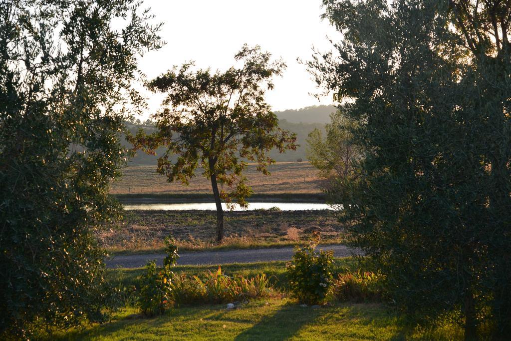Agriturismo Podere Micitto Usi Room photo